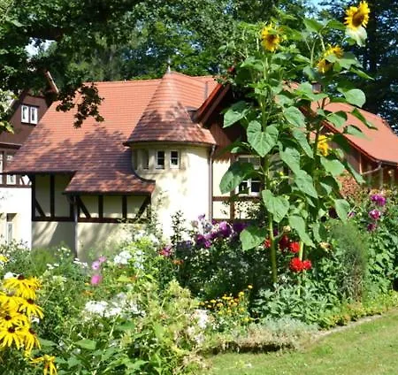 Berghuette Mit Finnischer Blockhaussauna Rosenthal-Bielatal Exterior foto